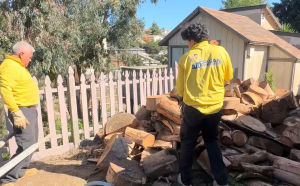 Crisan Junk Removal | Yard Waste Removal in San Diego: What You Can & Can’t Throw Away crisan2 1
